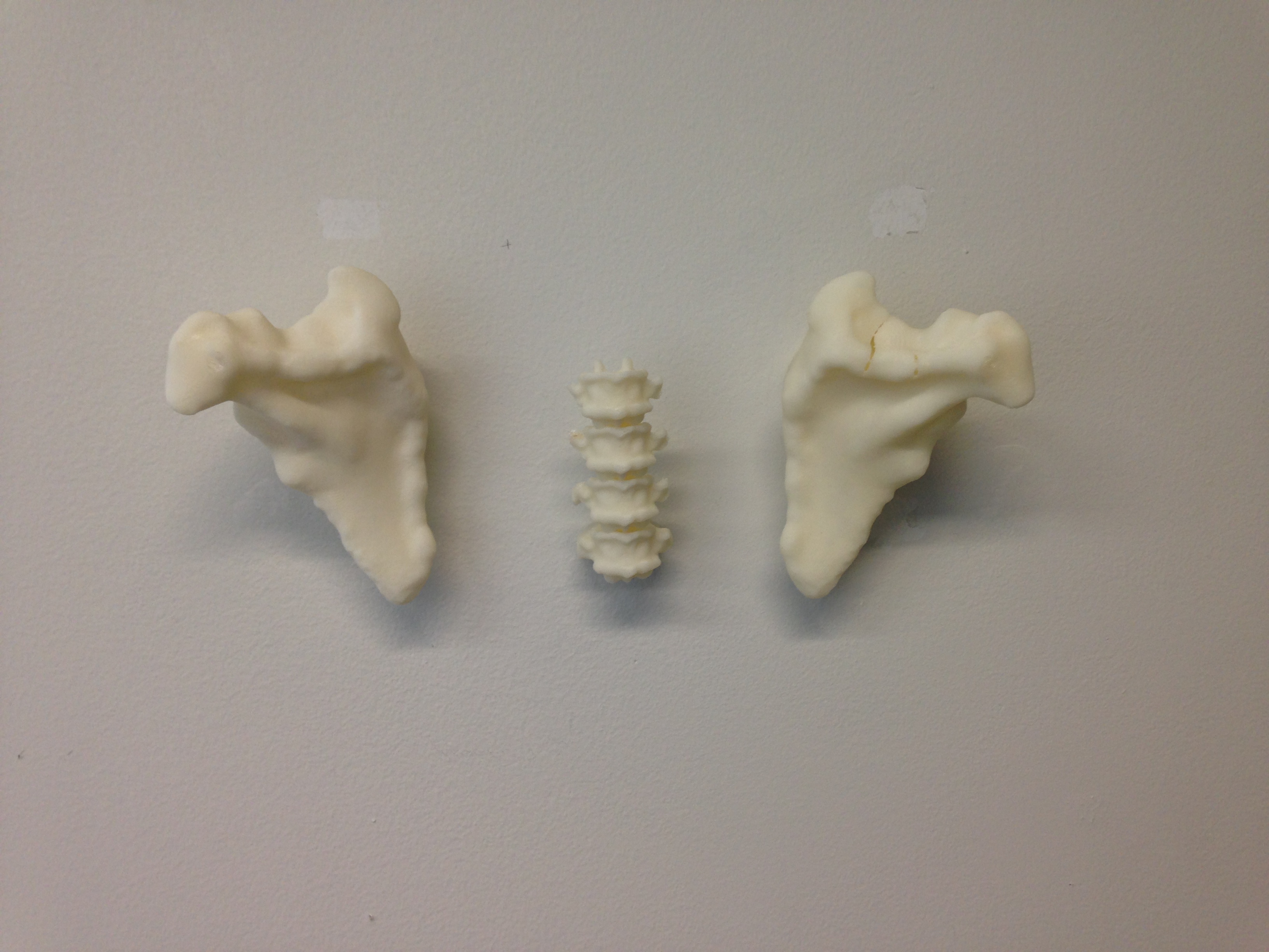 Hanging Off Your Bones Coat Hook
