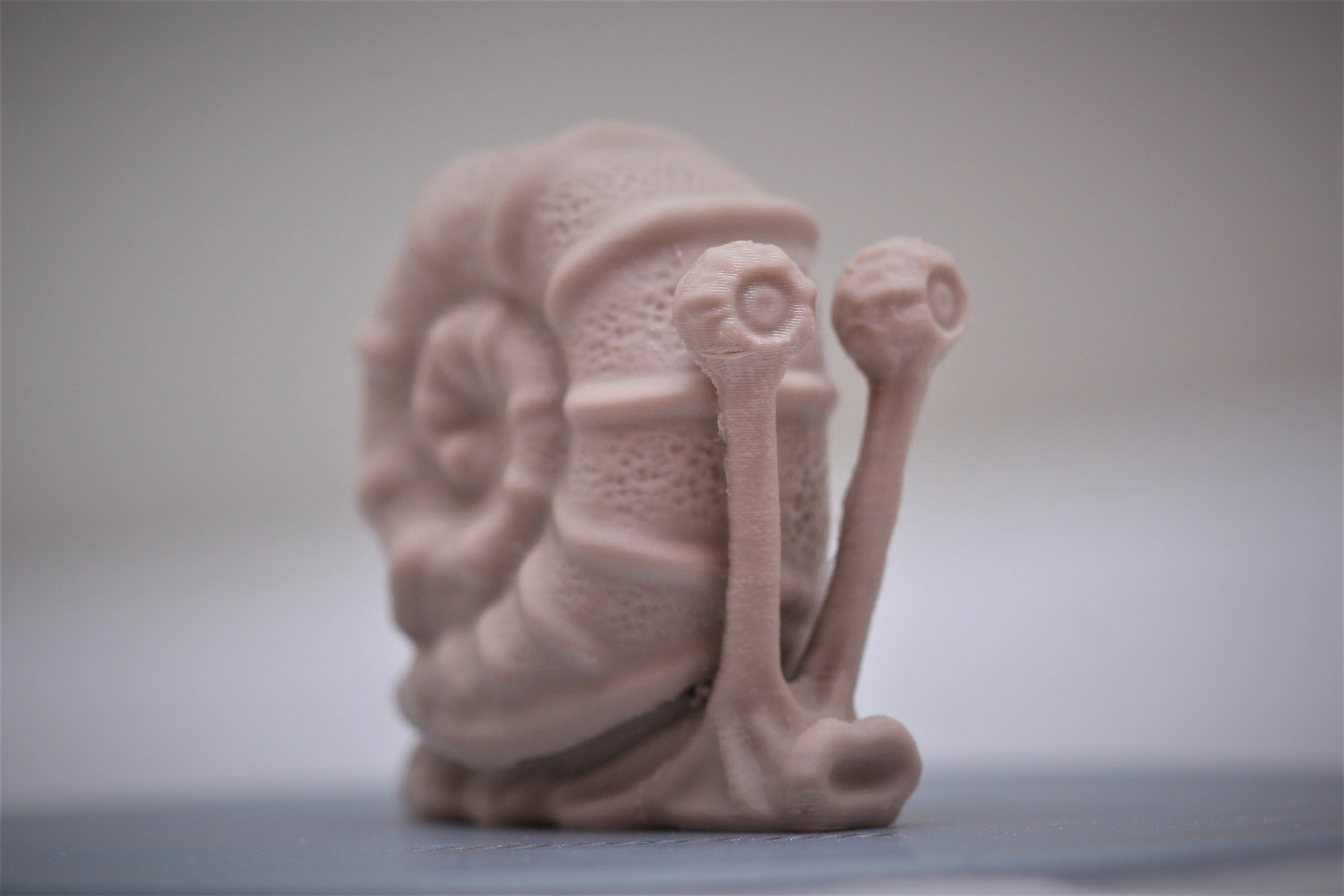Realistic Gary the snail (SpongeBob SquarePants's)