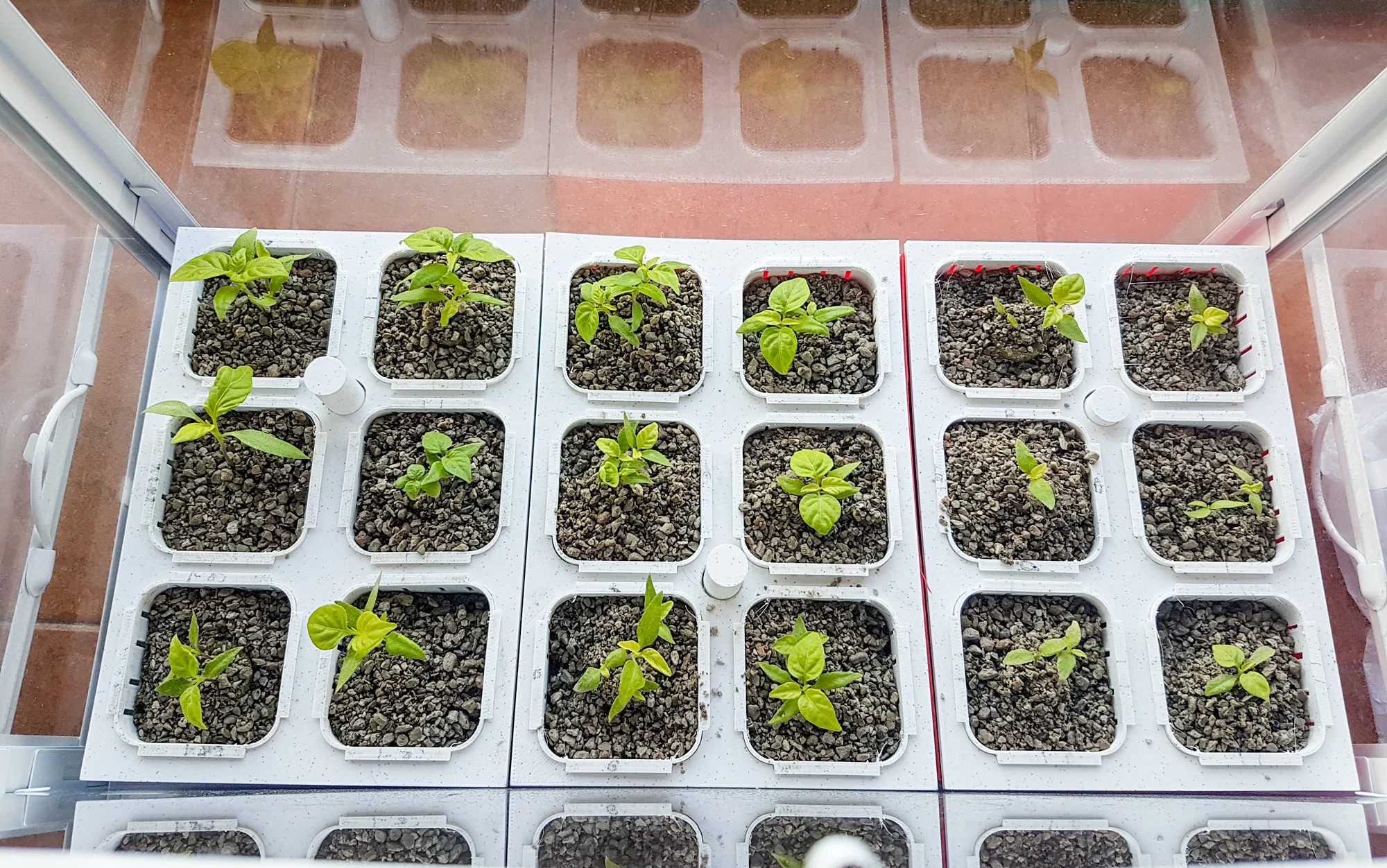 Hydroponic garden