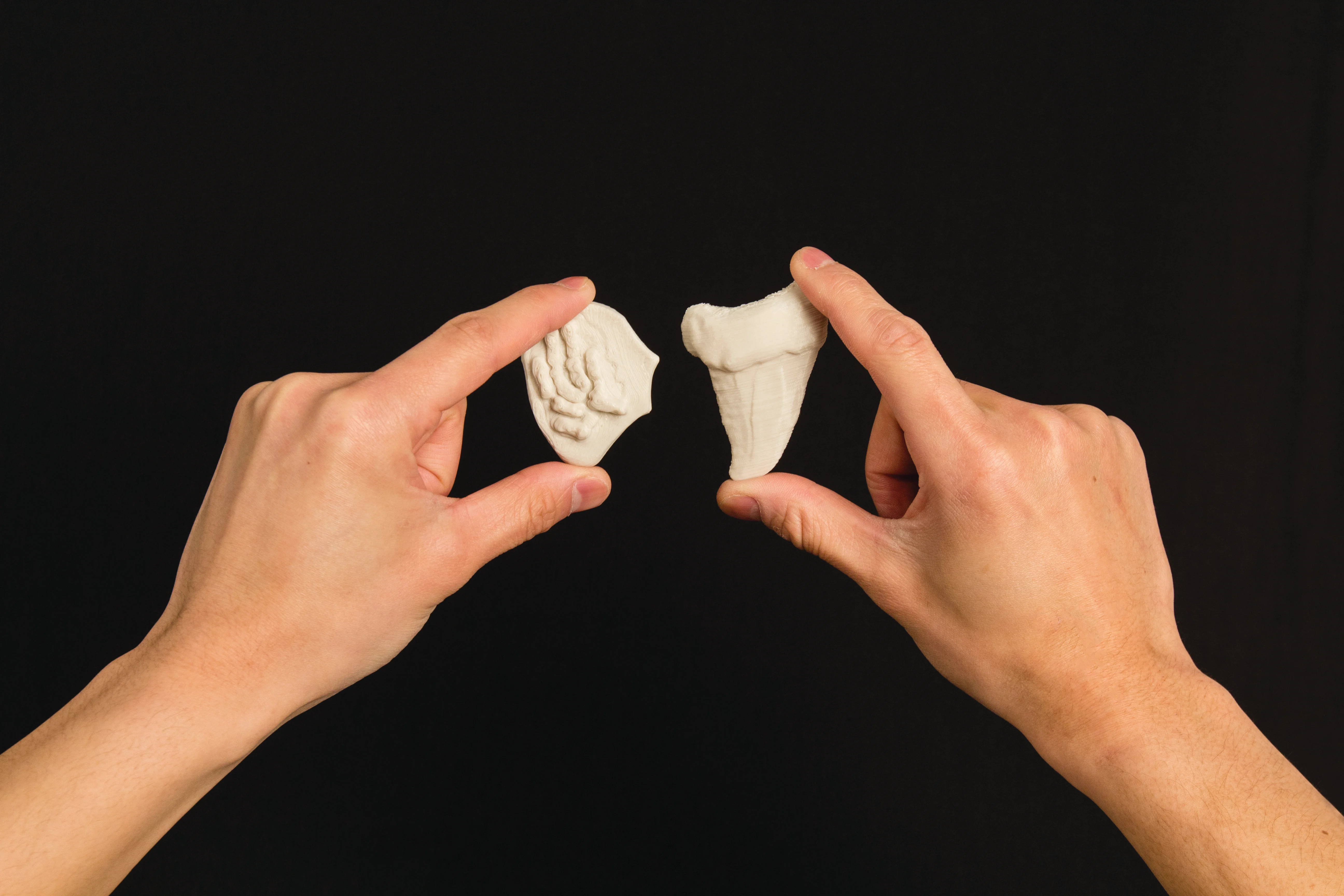 Project: Making Fossils with Sculptris