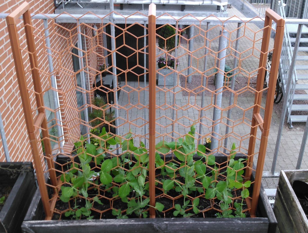[newDesign] Support for pea in a terrasse garden #hexagonIsBestagon