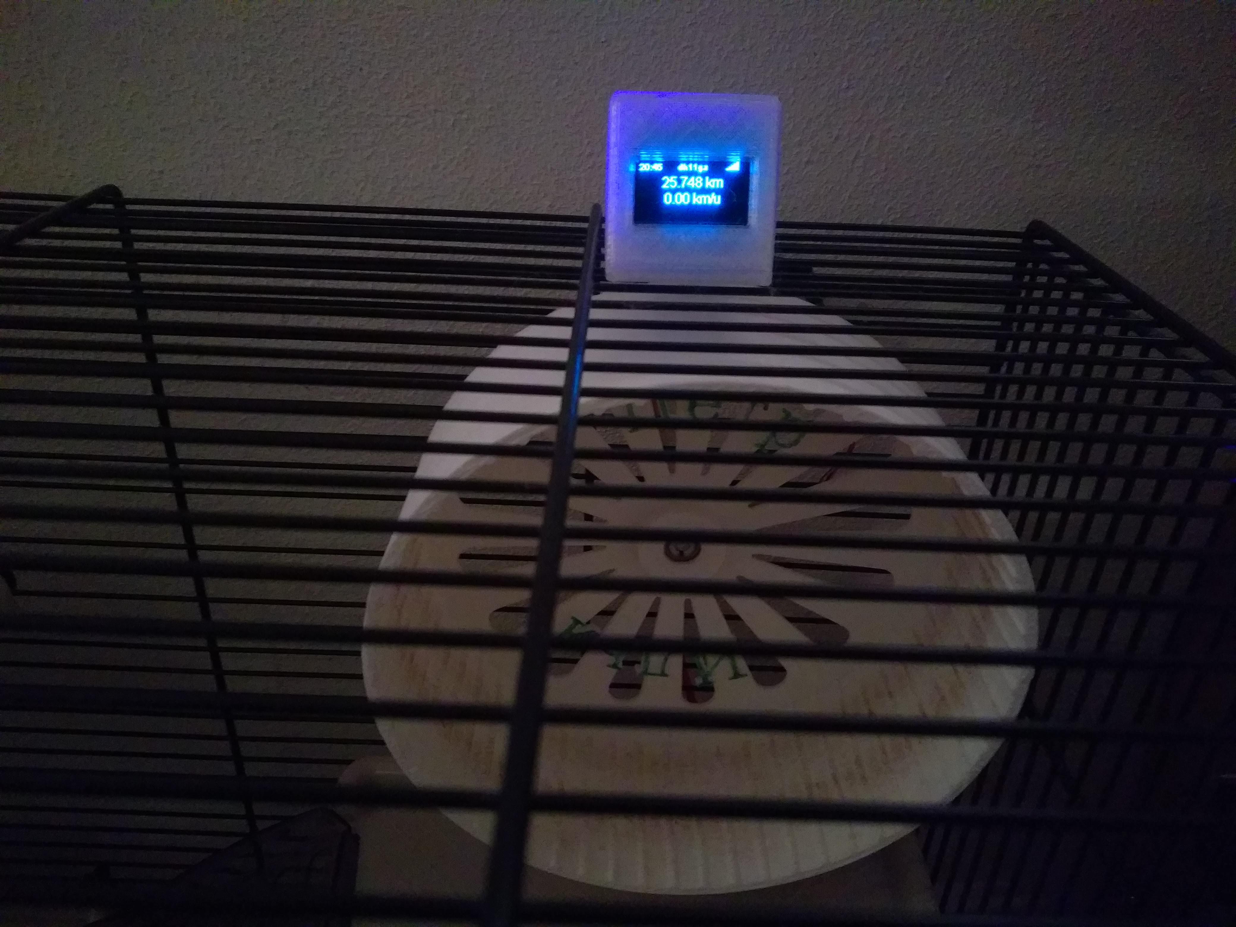 Internet-connected hamster wheel
