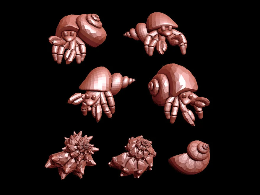 Hermit Crabs