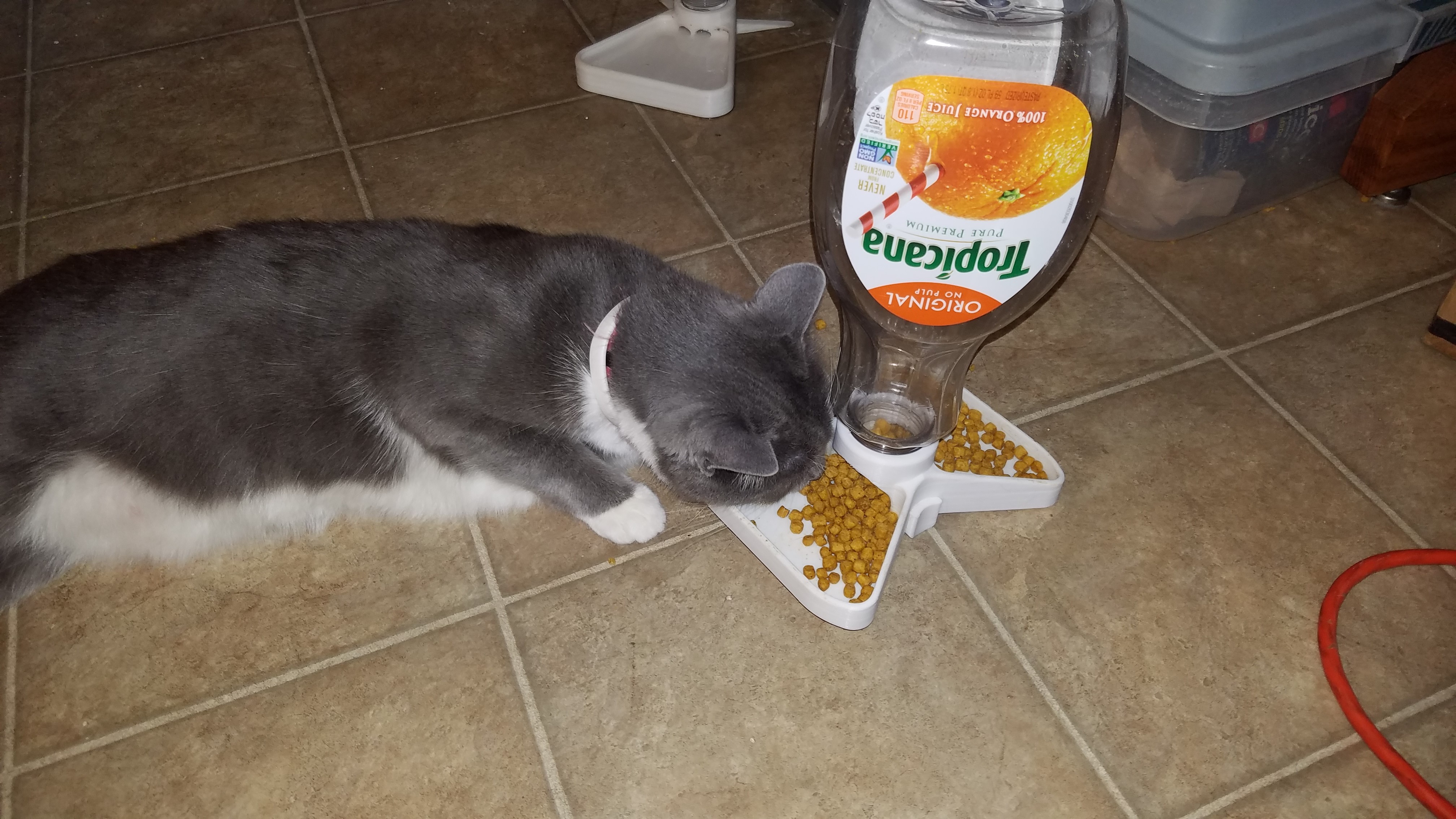 Dry cat food dispensor