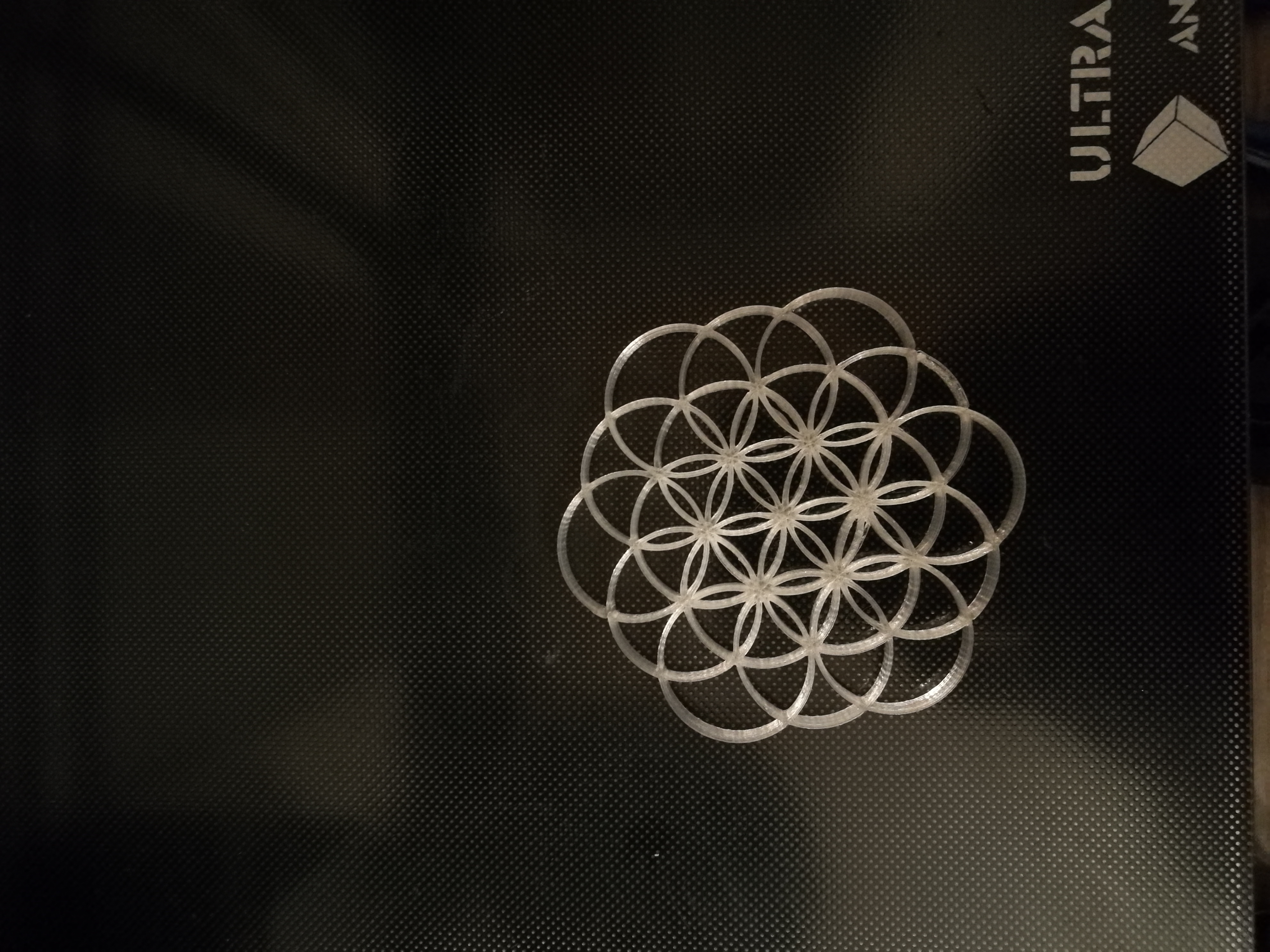 Coldplay logo