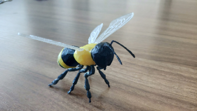 Honey Bee