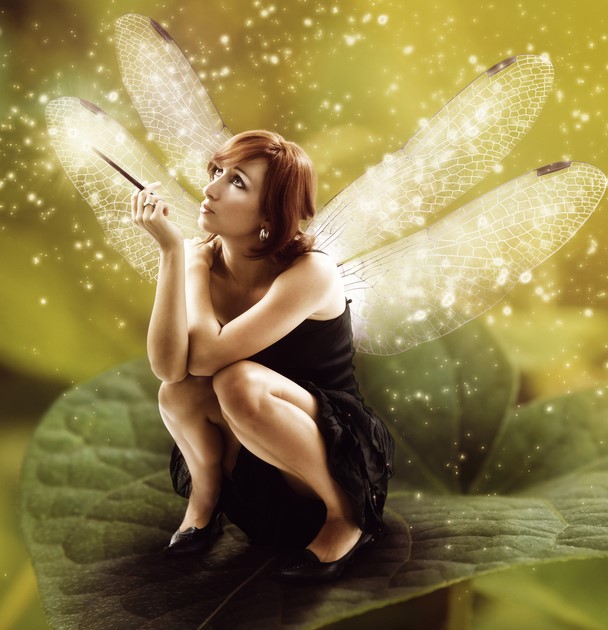 Fairy Tinkerer