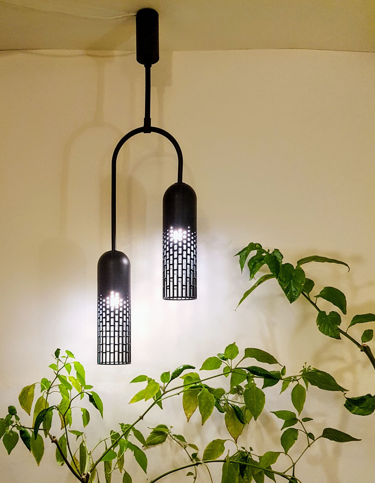 Modern Double Pendant Lamp
