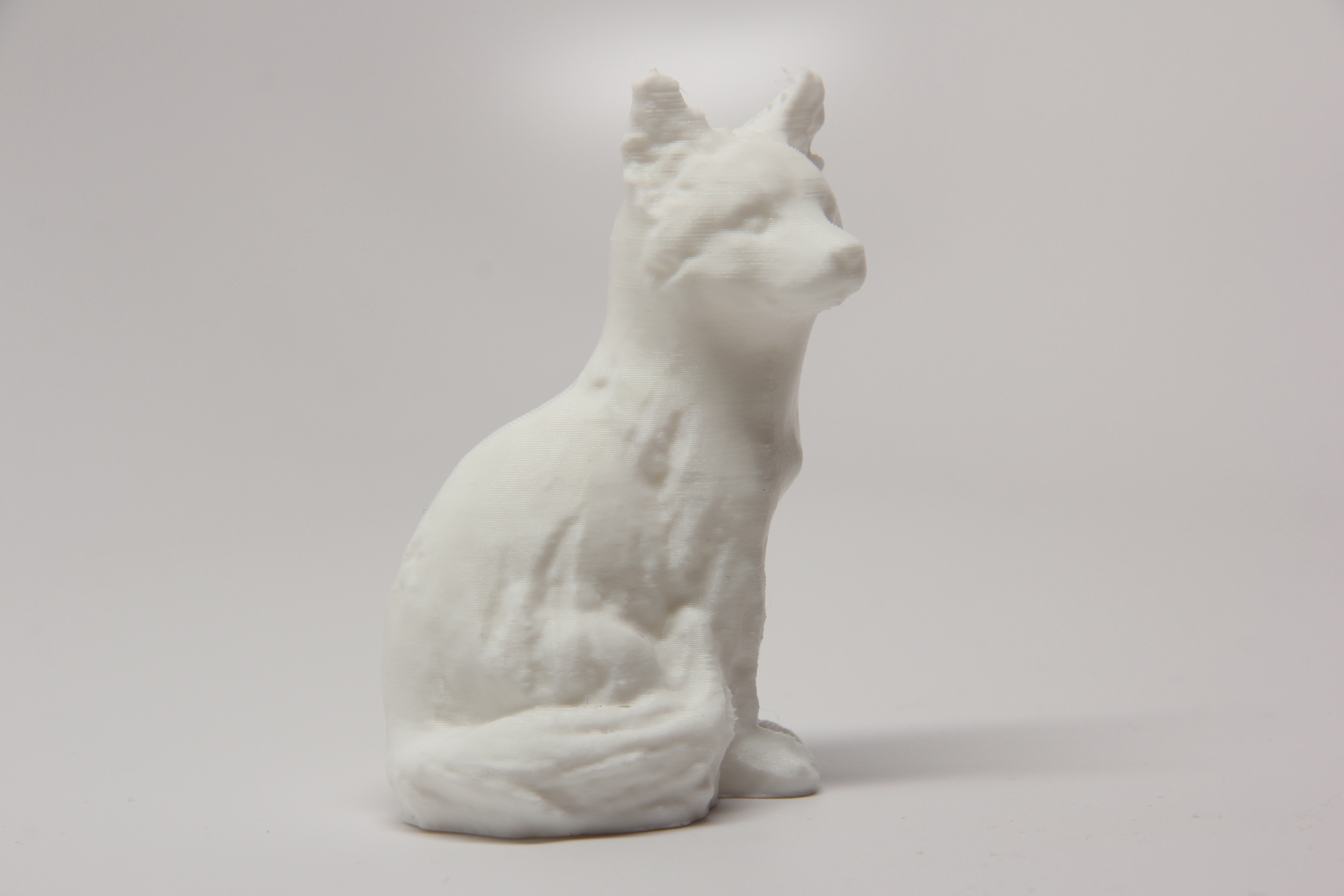 Sitting Fox