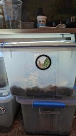 70mm Vivarium Vent (2.75")