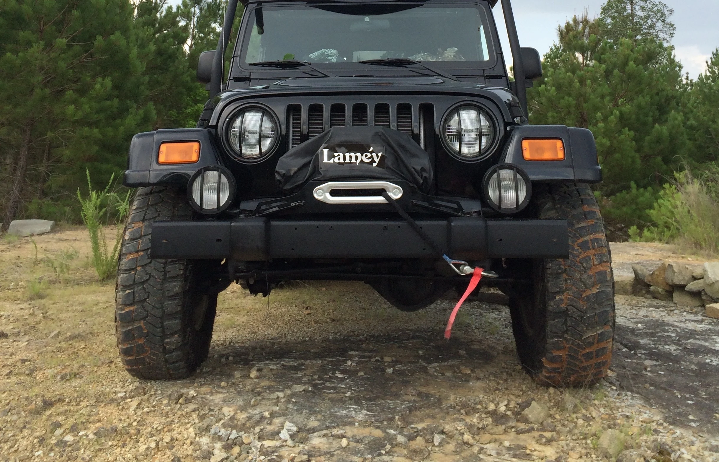 Jeep Wrangler TJ 98-2004 FOG light guard