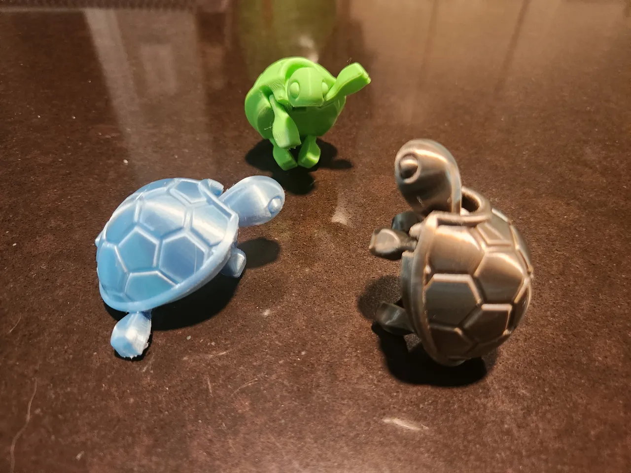 Baby Turtle