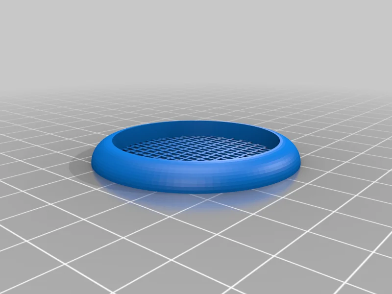 Ventilation Terrarium for Phidippus Regius