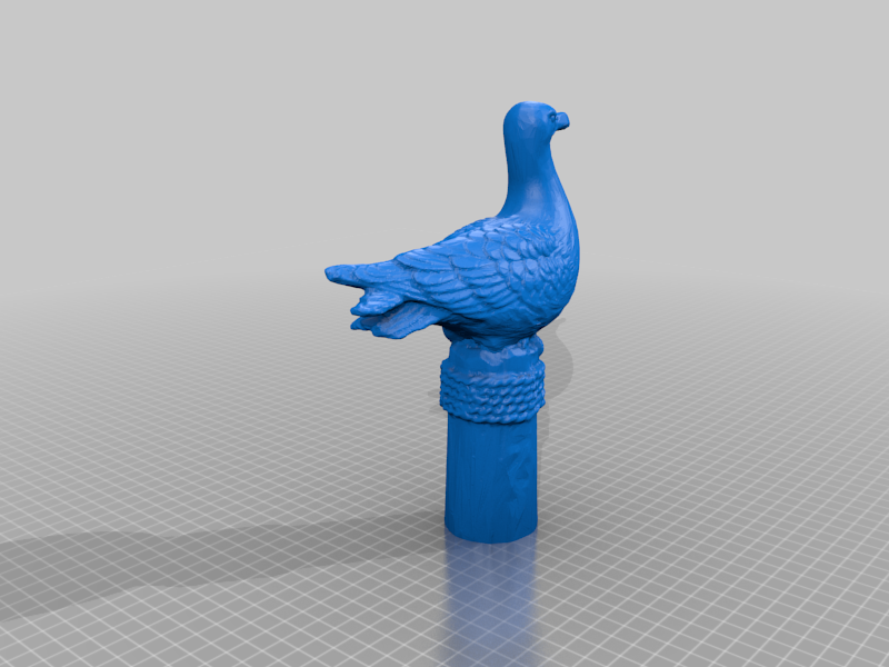 Seagull