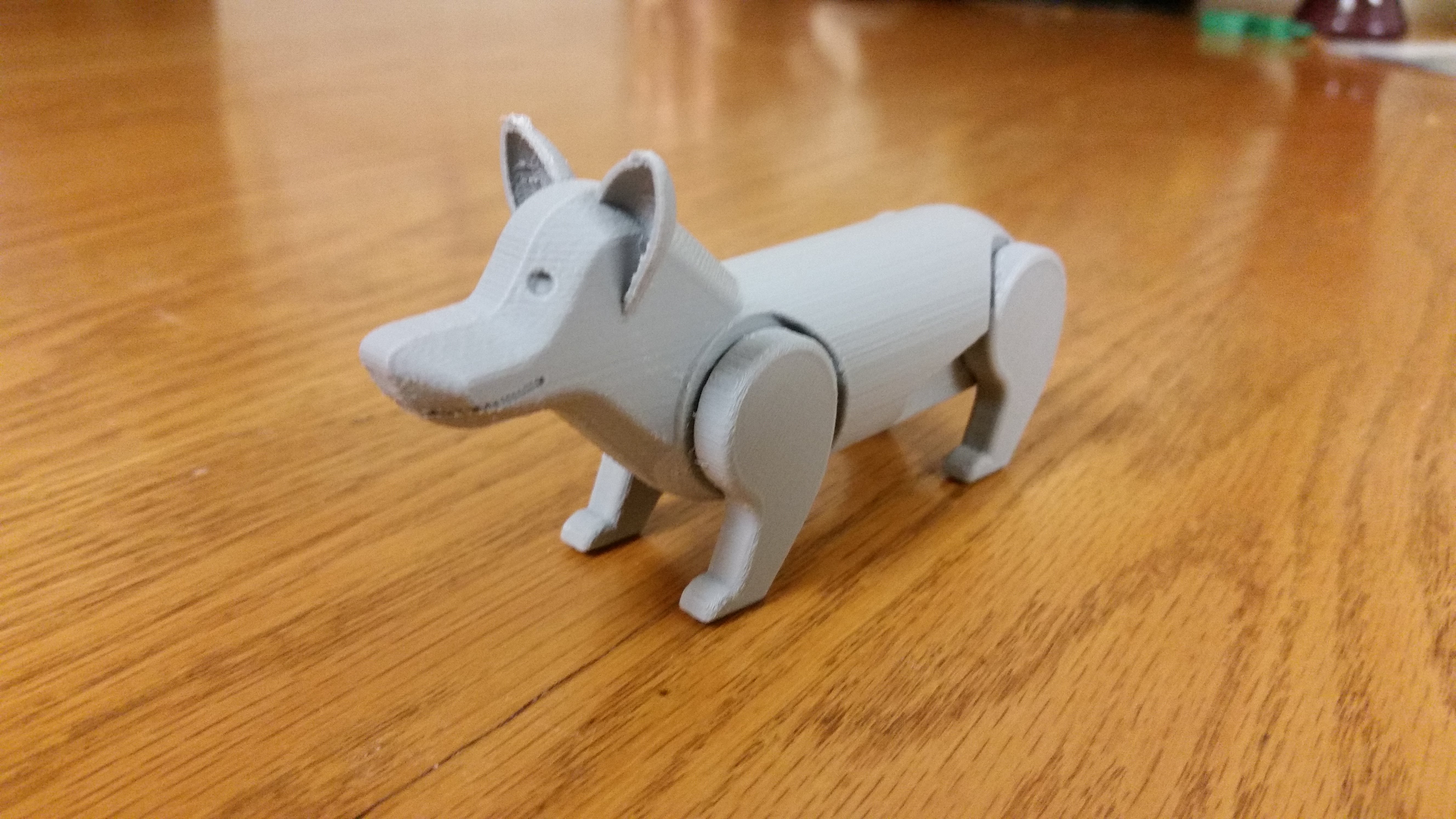 Rusty the Adventure Corgi