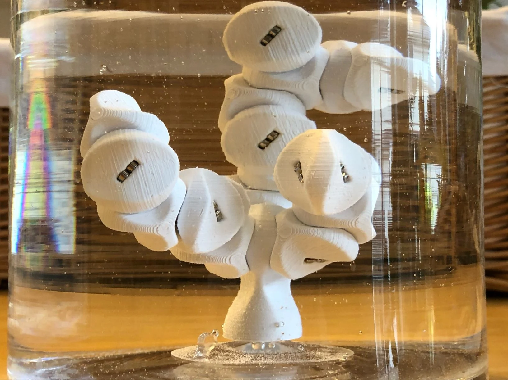Self-Assembling Coral