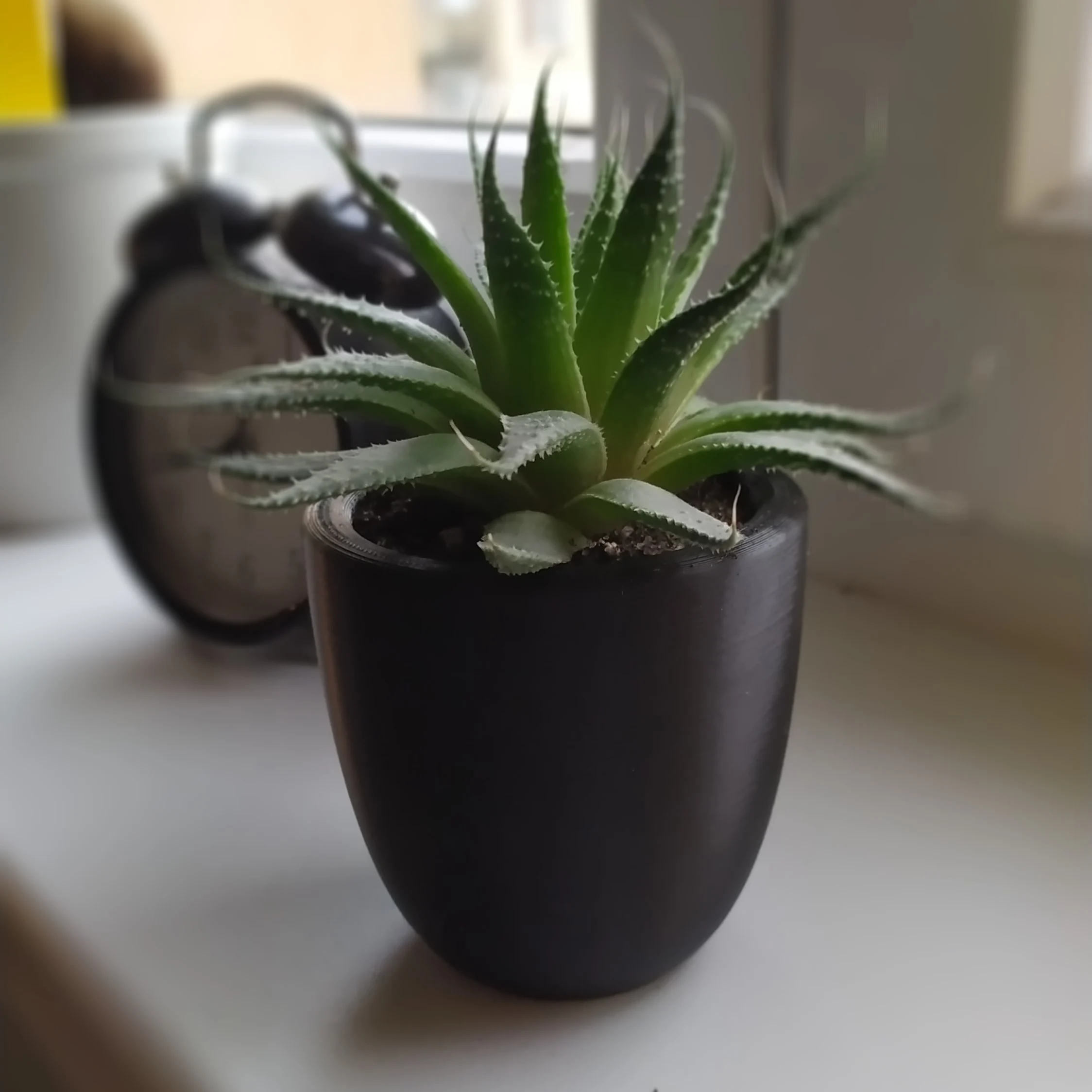 Succulent planter