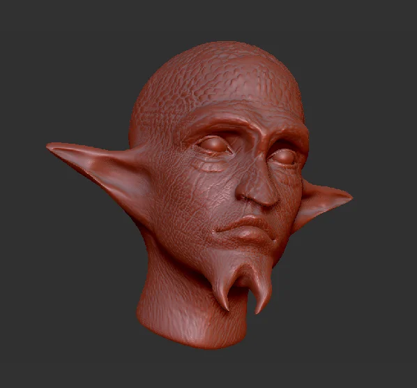 Test_Head