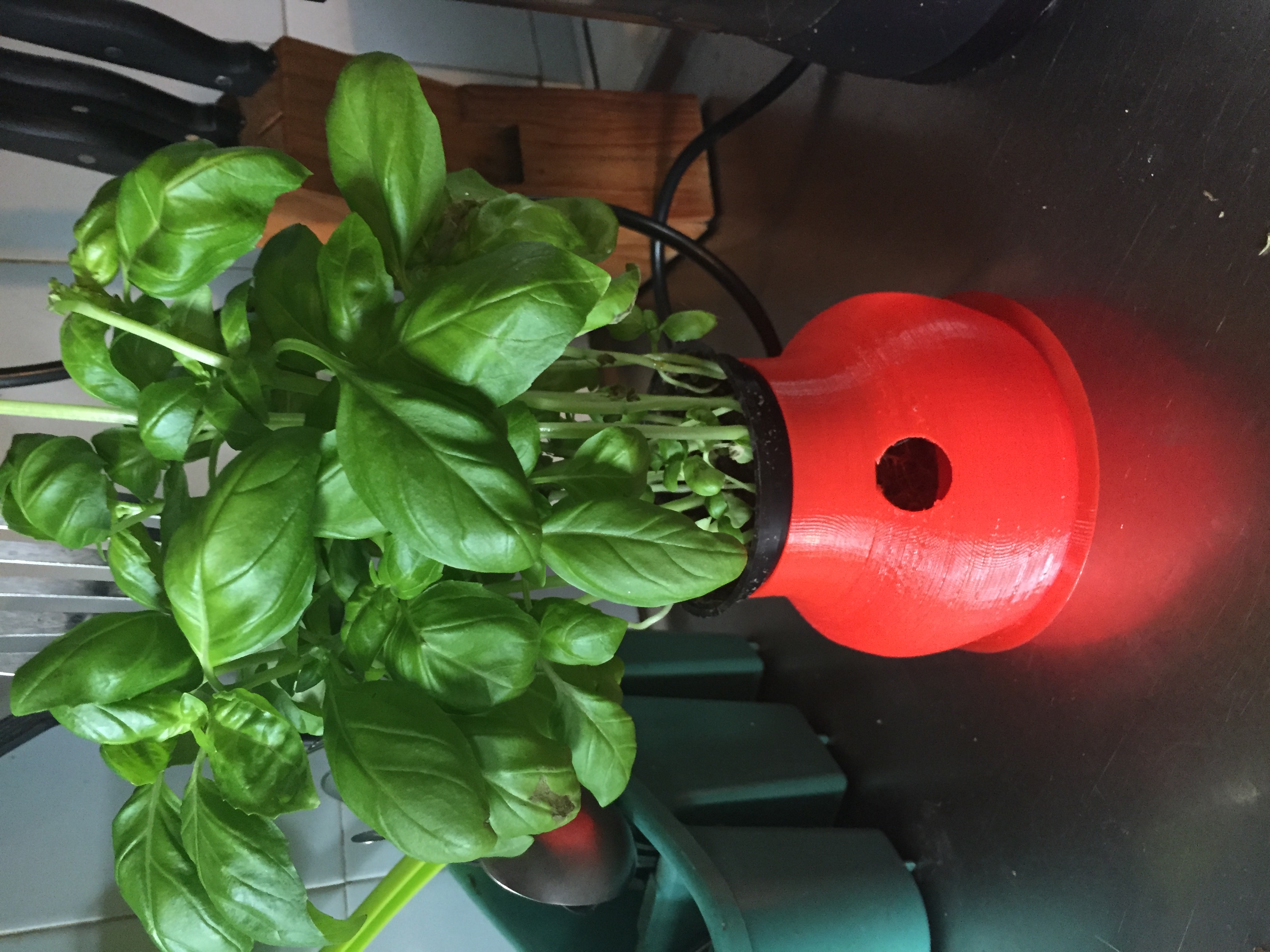 Herbpot
