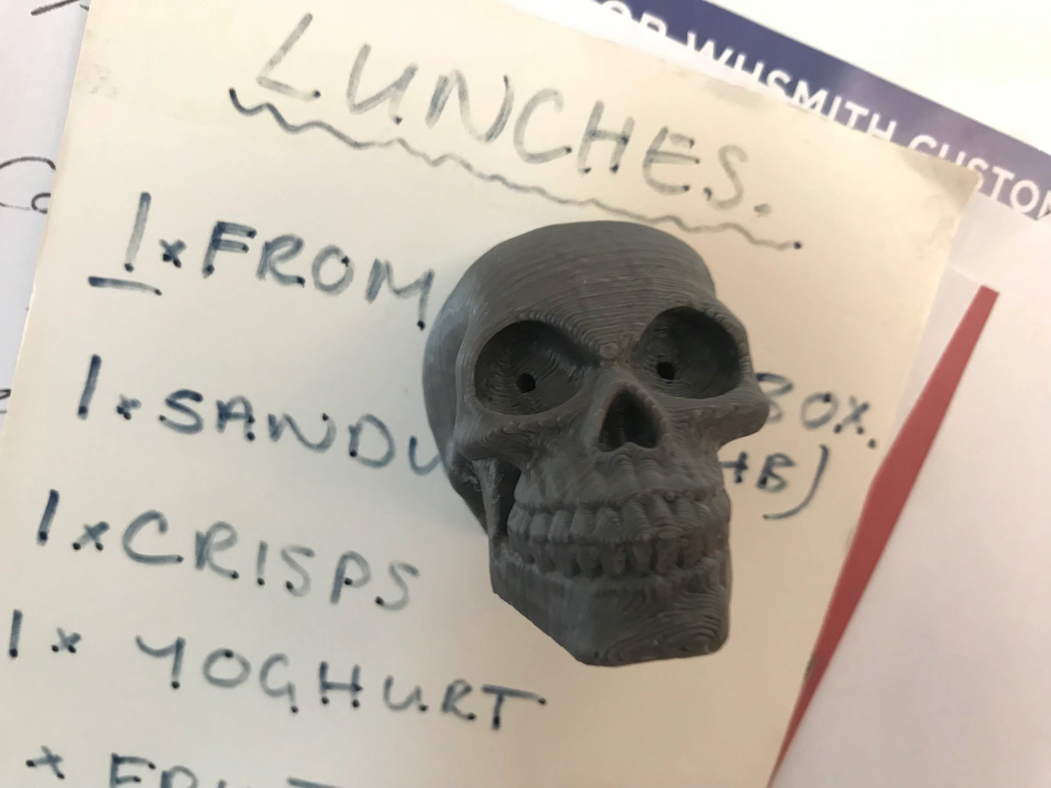 Skull Fridge Magnet