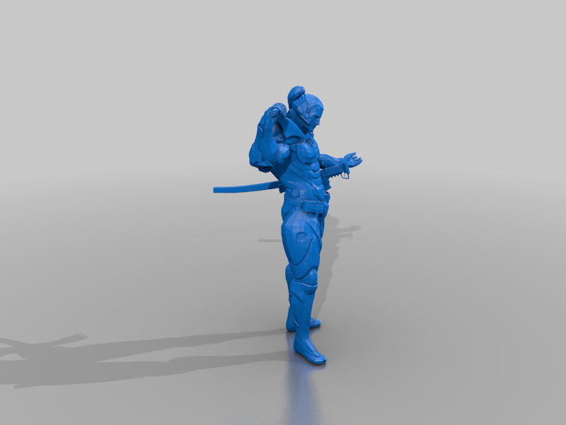 cyber samurai