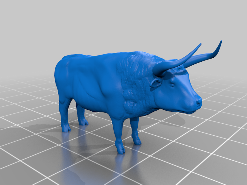 Aurochs