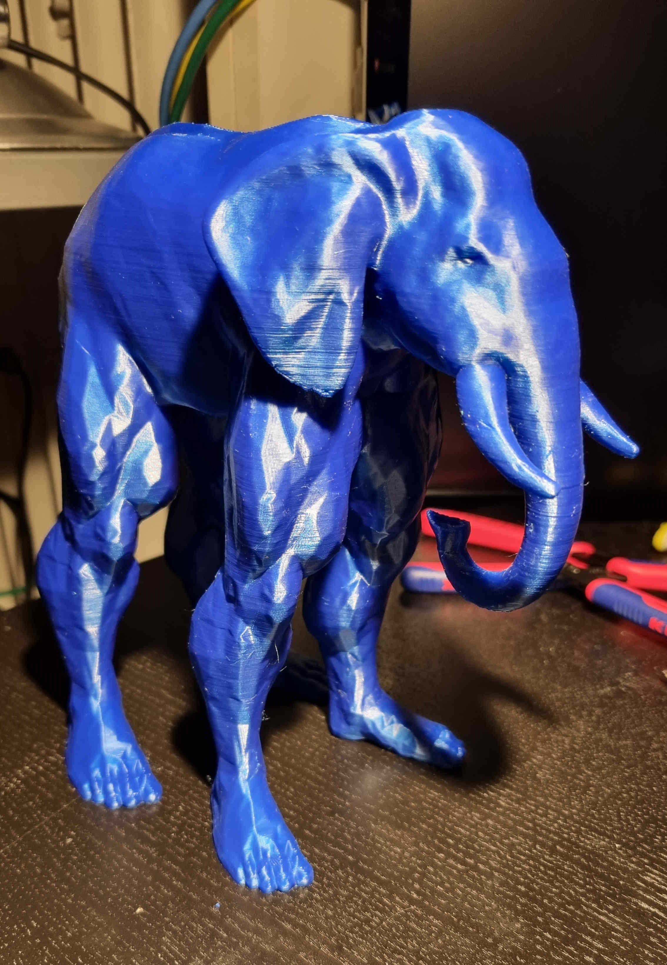 Elephant Man