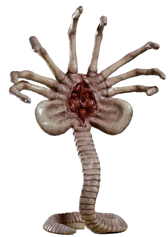 FACE HUGGER ALIENS