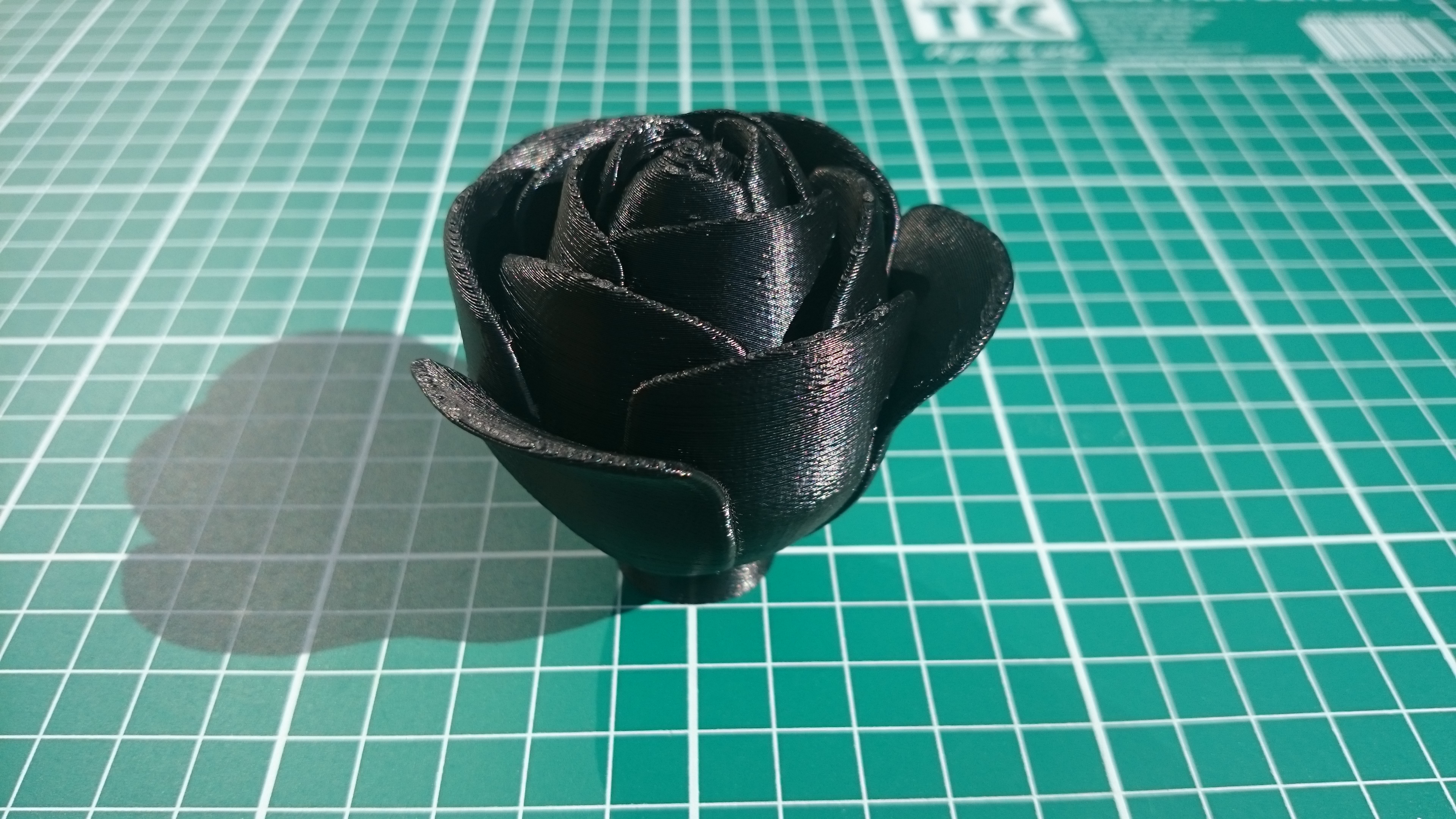 Black Rose