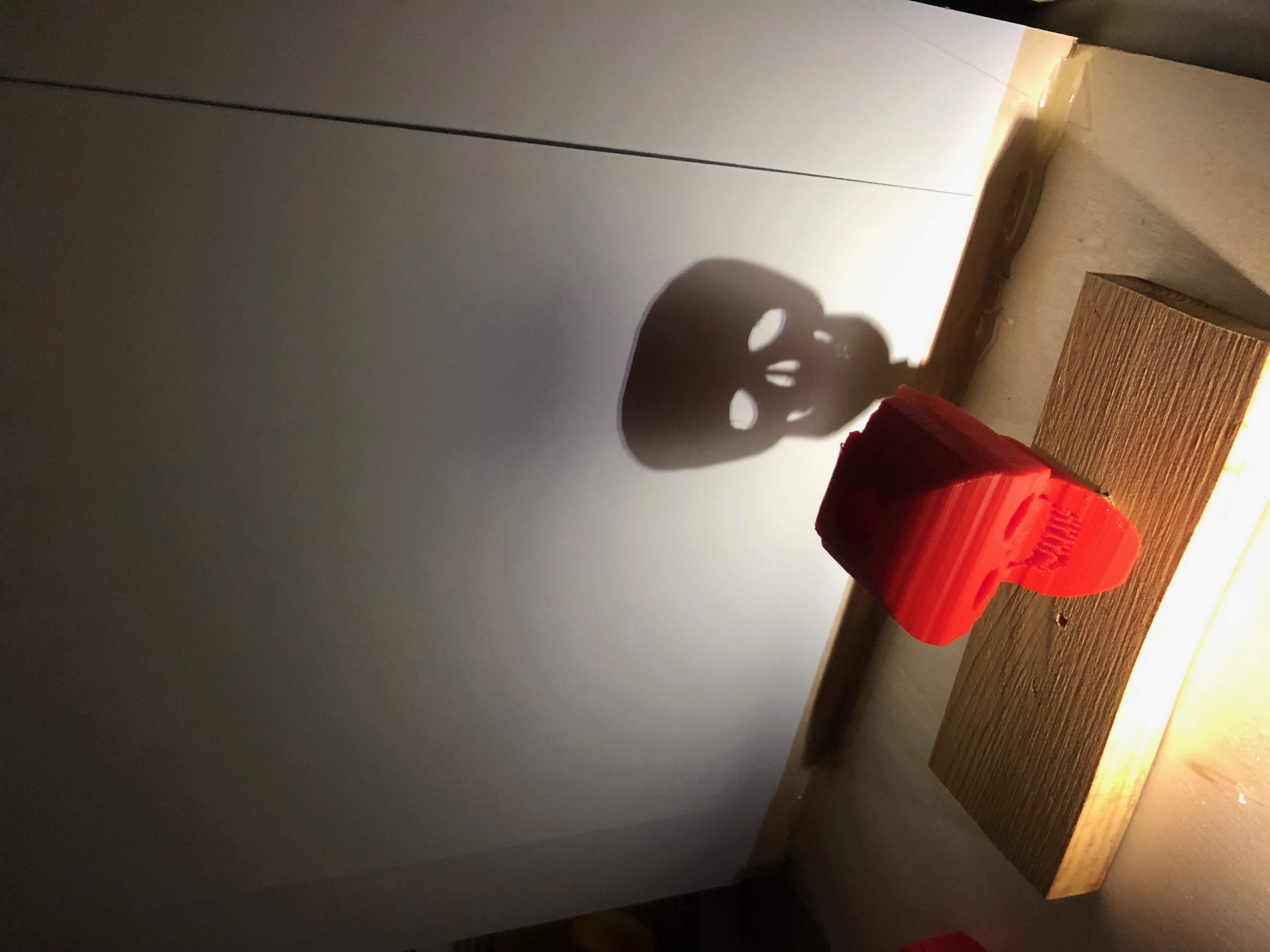 Skull Face Multi-perspective