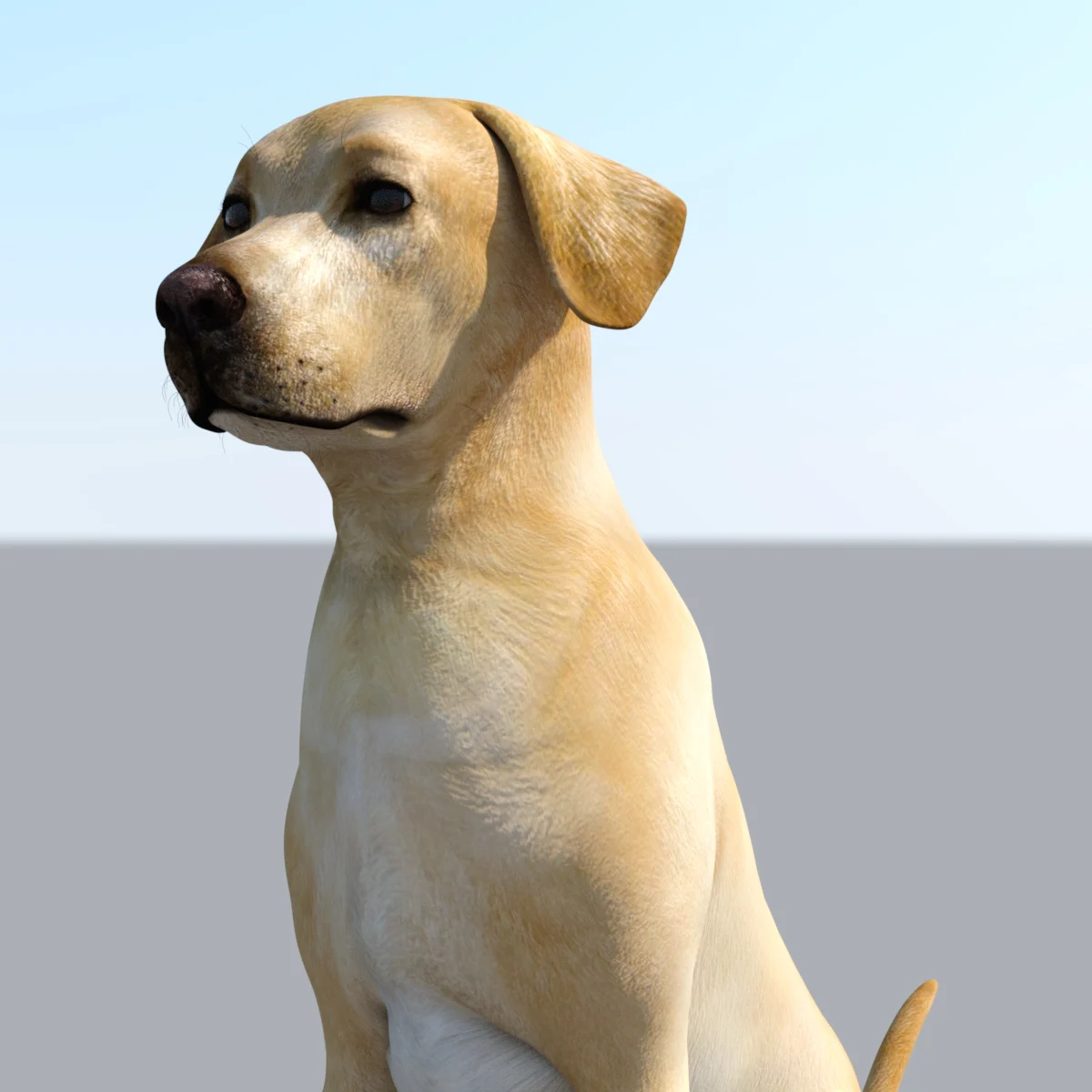 Labrador Dog Realistic Pet Lovers Gift Free Stl