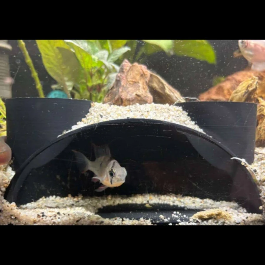 Aquarium hideout for fish