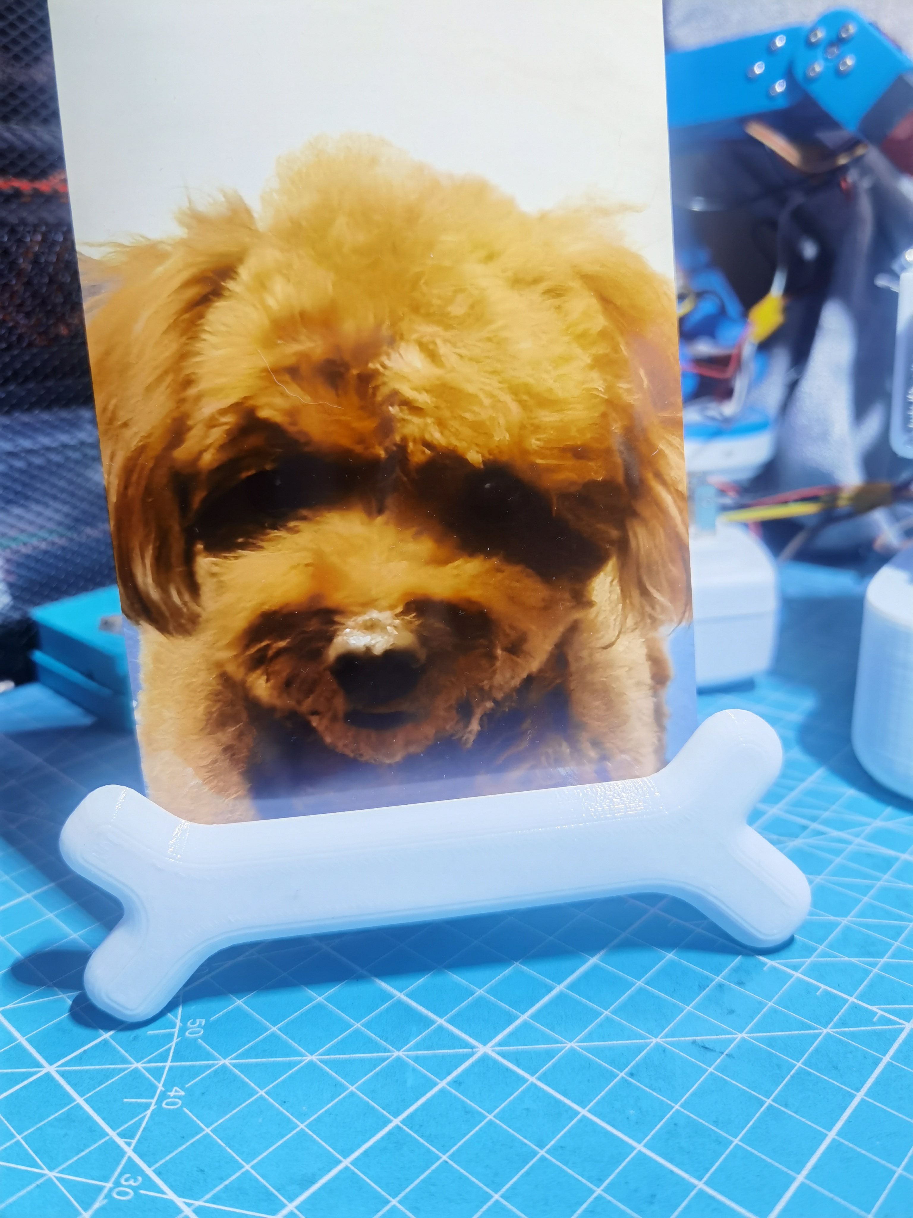 Pet Cremains Urn