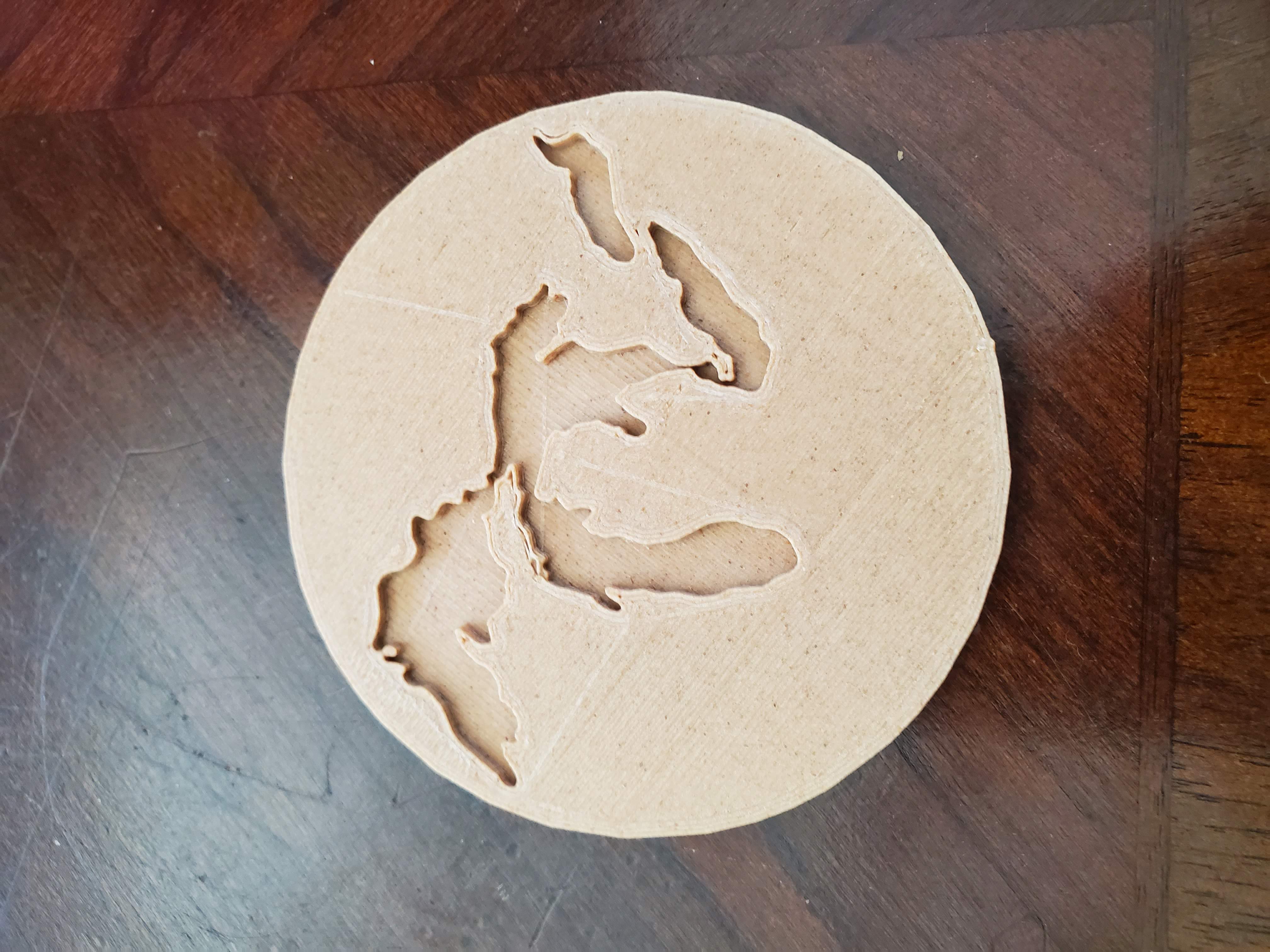 Michigan Coaster