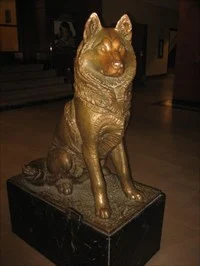 Husky Photogrammetry
