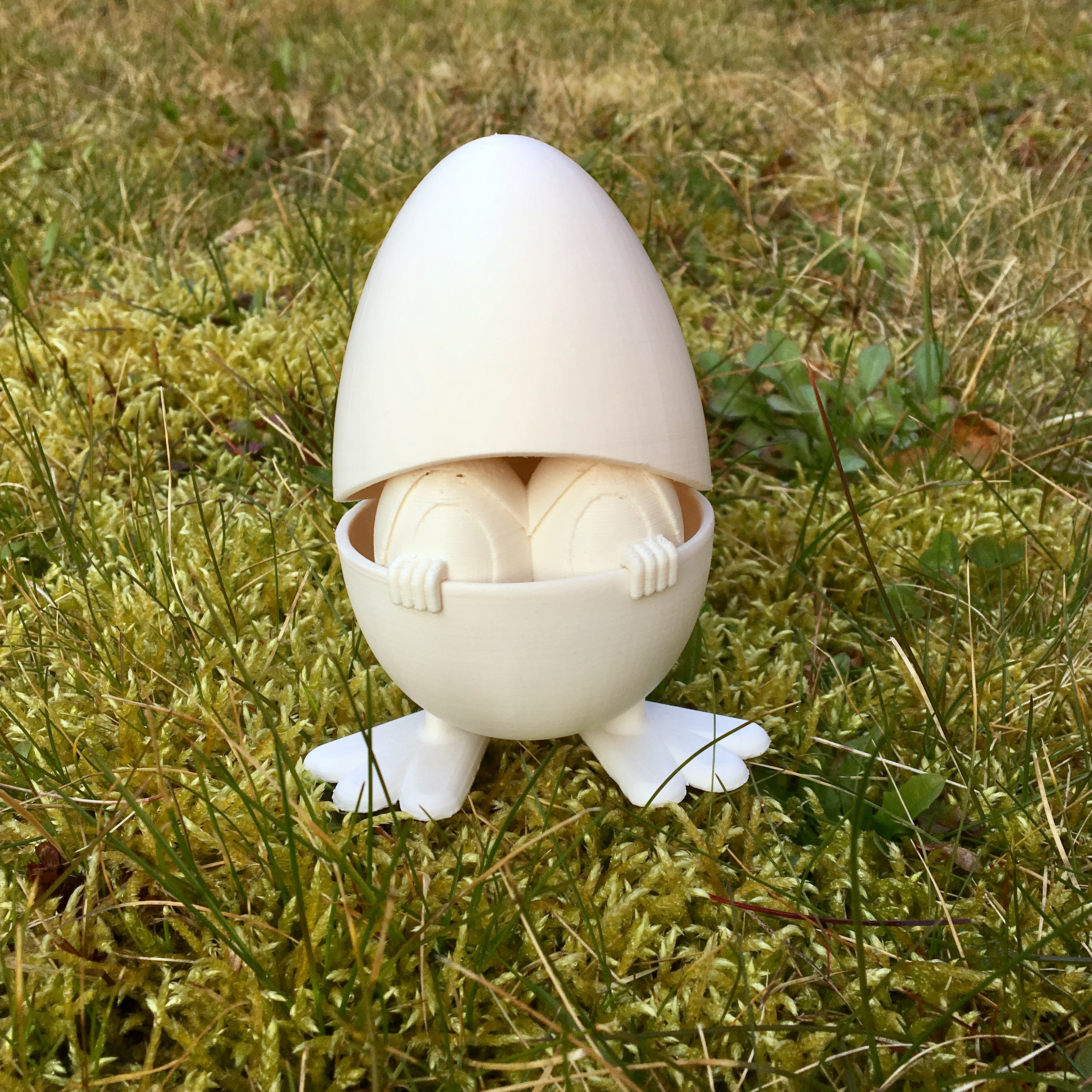 Curious Egg