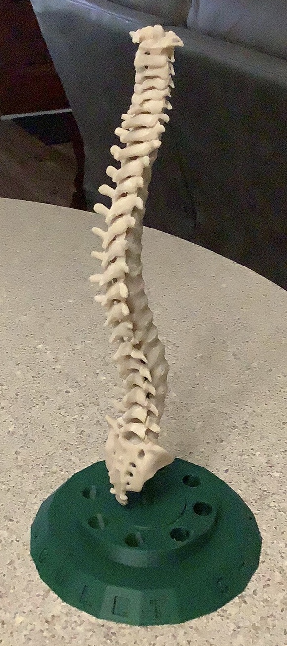 Spine Pen Holder