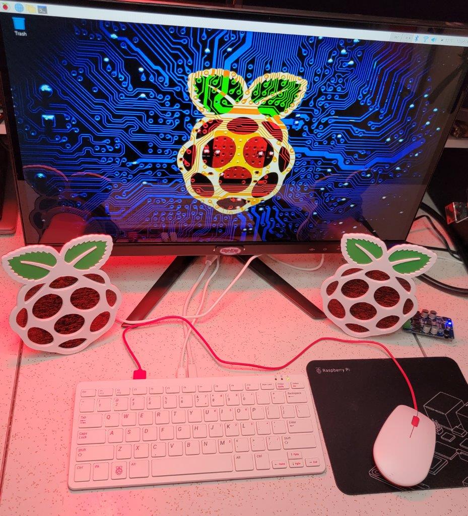 Raspberry Pi Speaker Grill