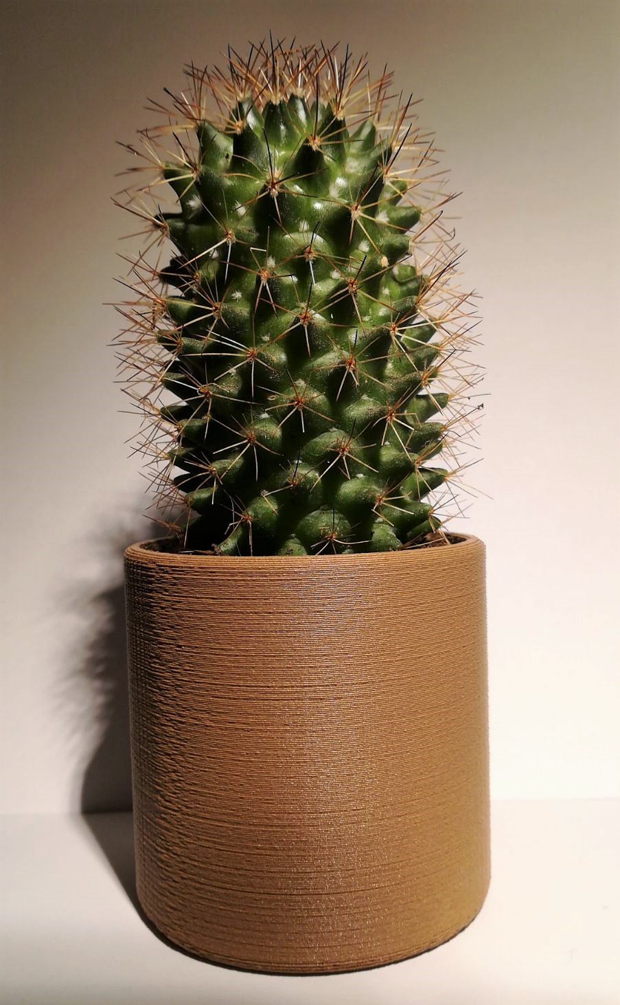 Basic minimalist planter