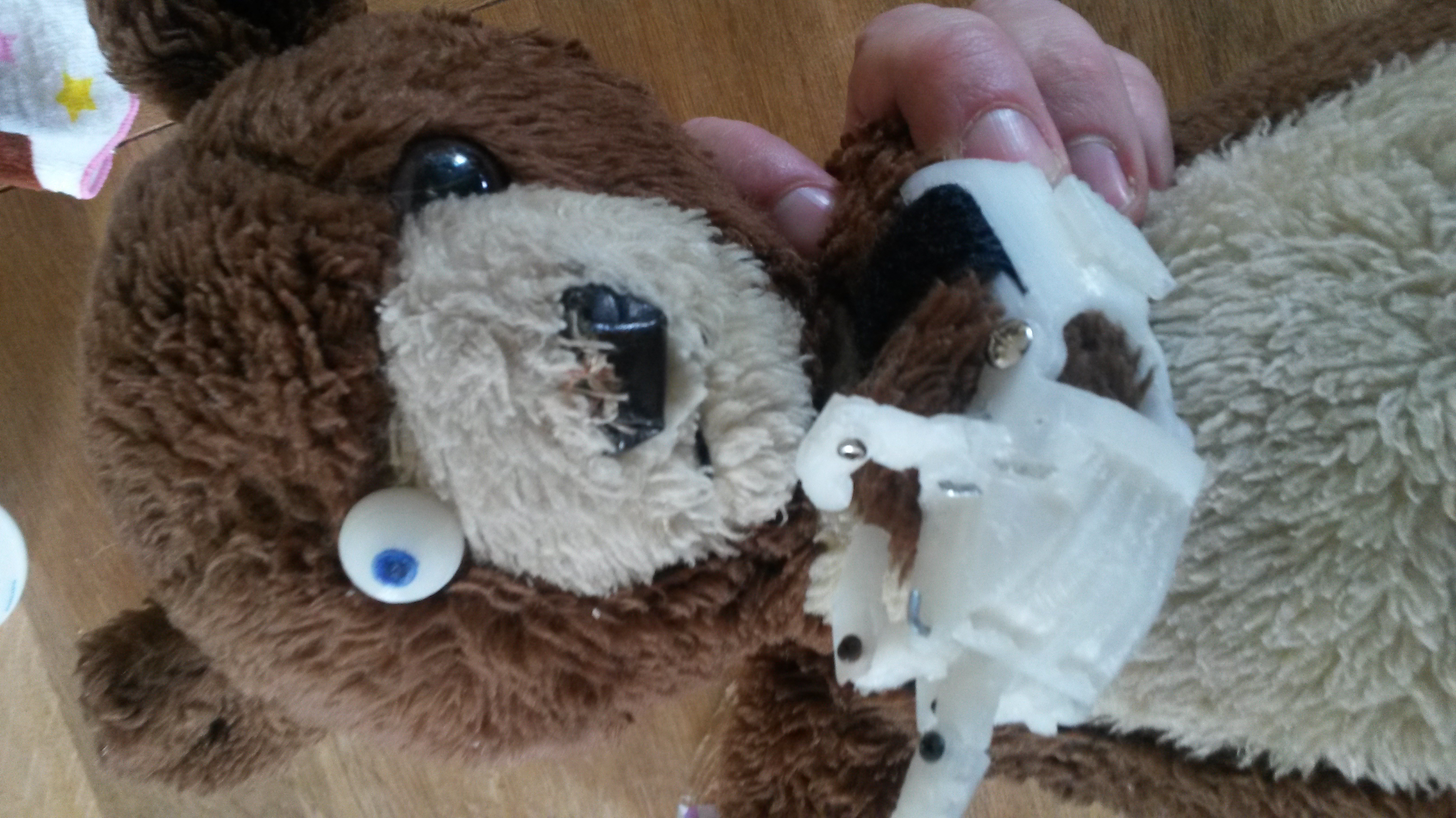Teddybear Eye - laser shooting bug killing cyber teddy