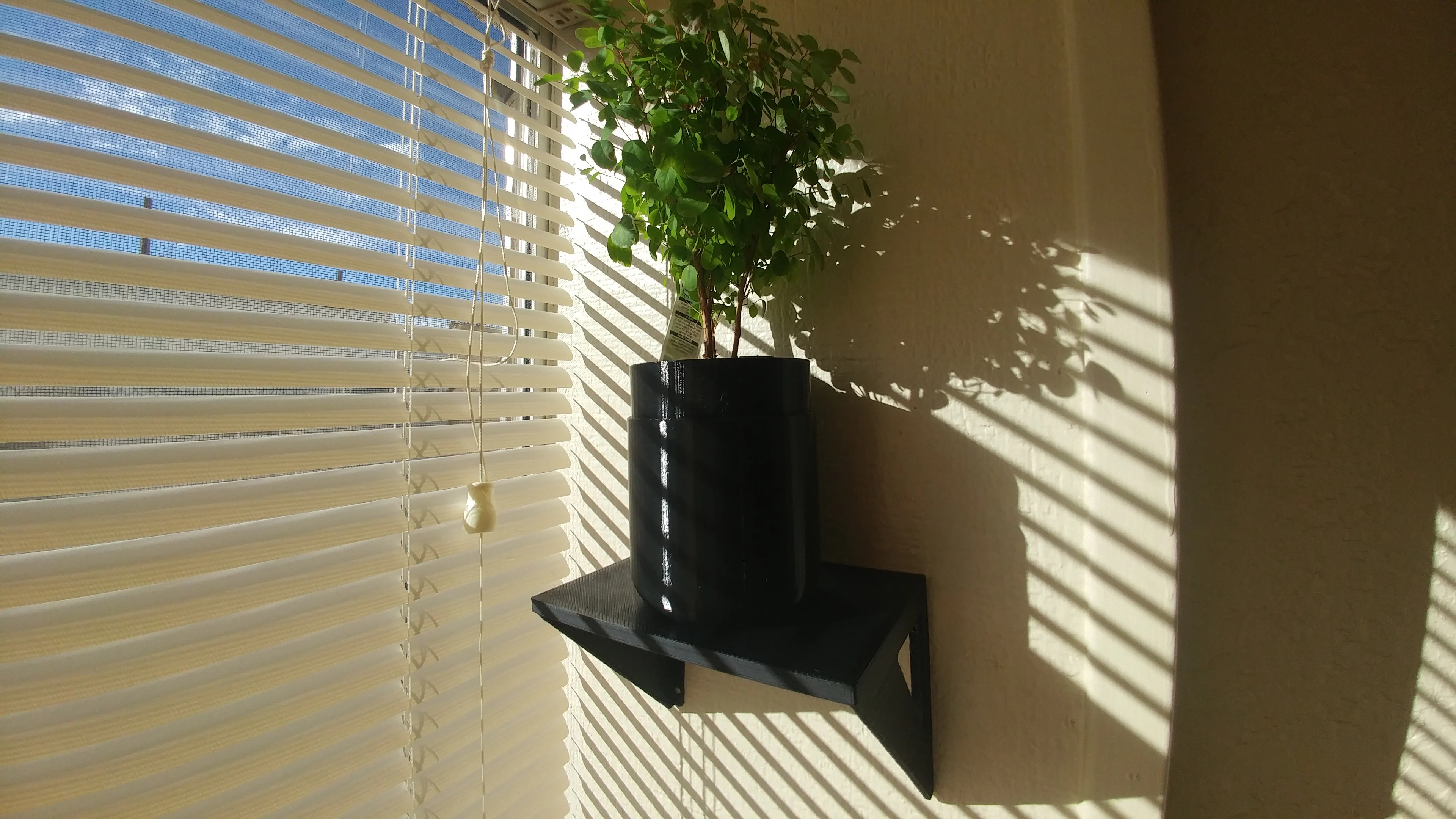 Wall Shelf