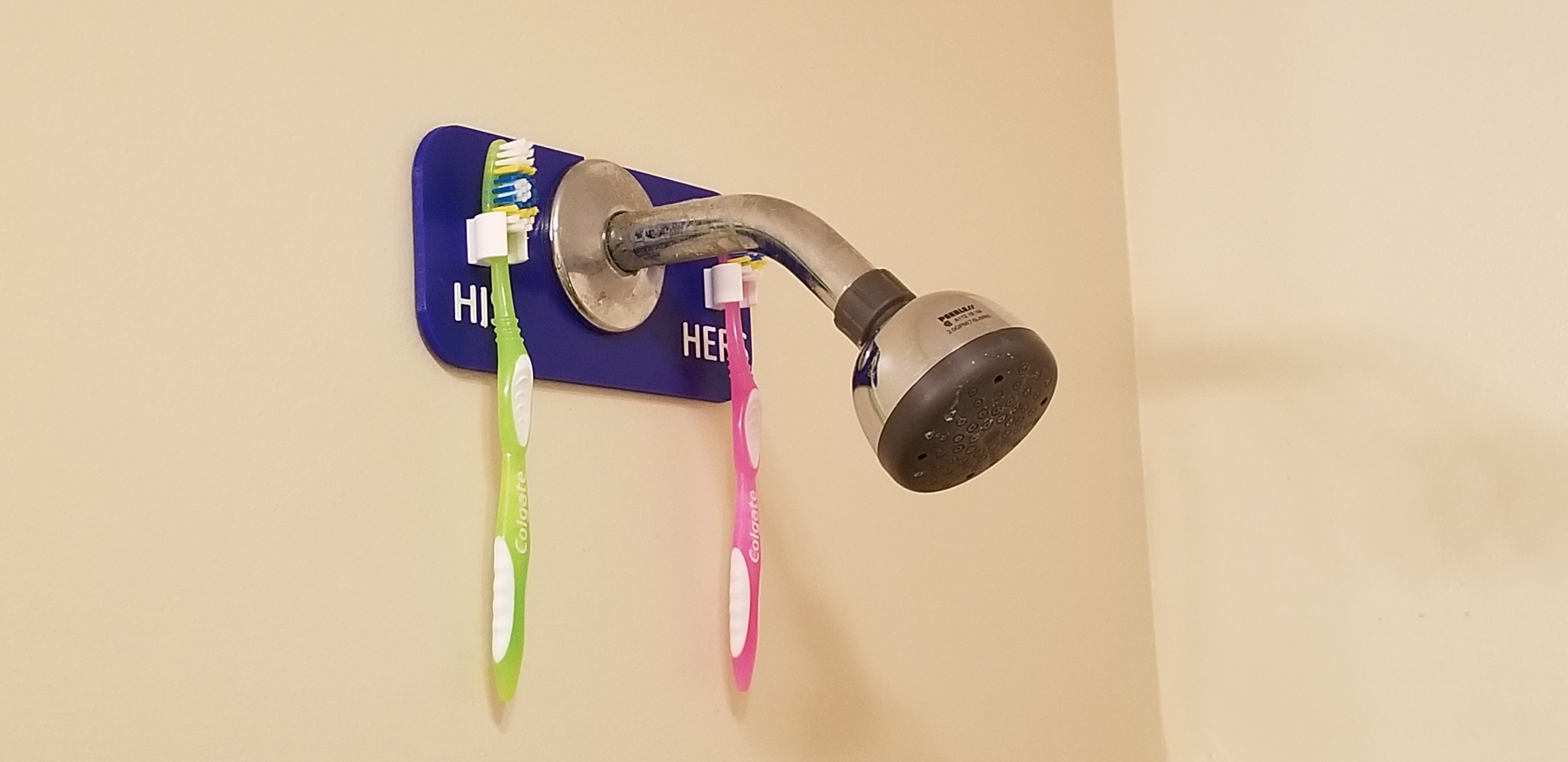 Shower Head Toothbrush Holder