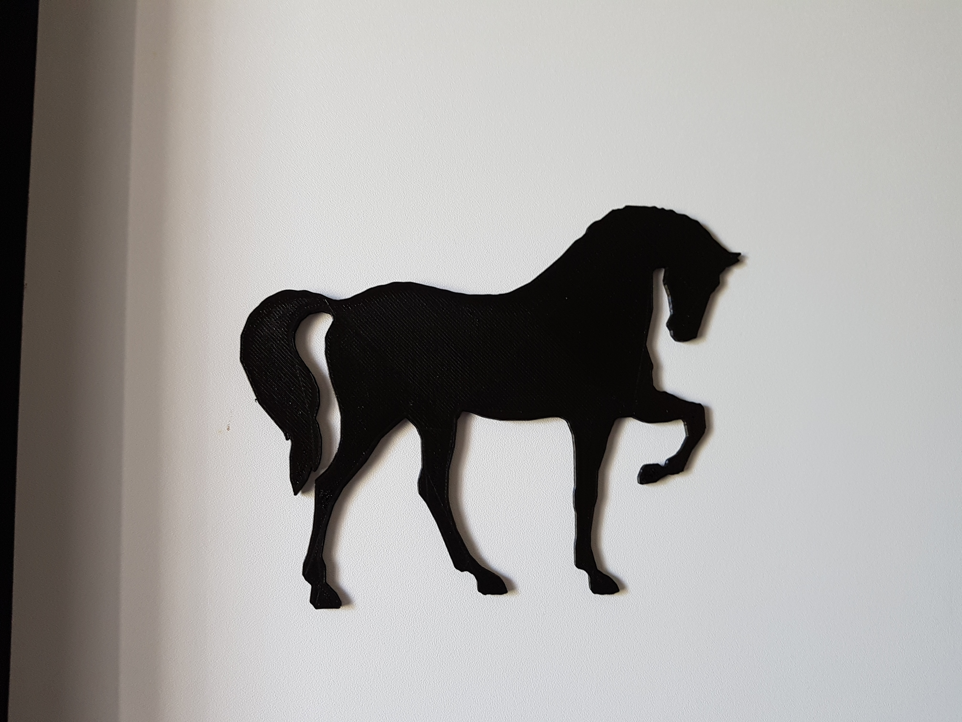 whole horse shadow