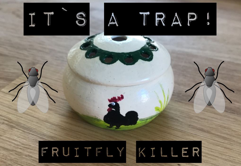 Fruit fly Trap / Fruchtfliegenfalle