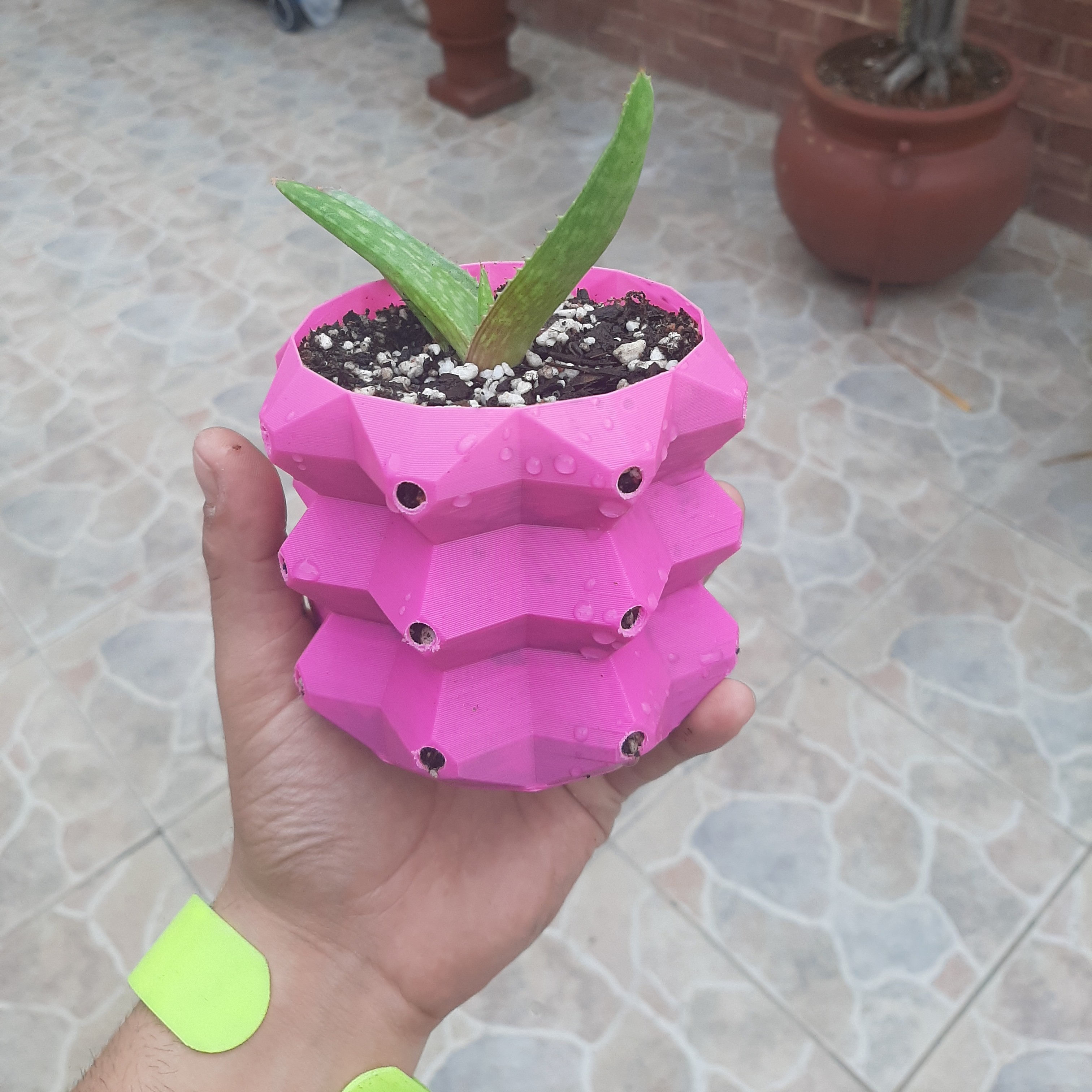 Octa pot plant (macetero octagonal)