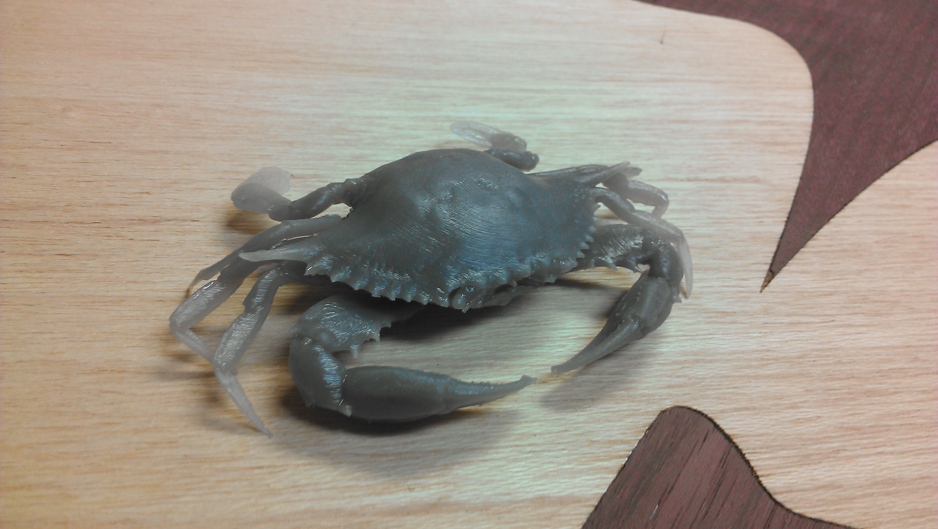 Chesapeake Blue Crab