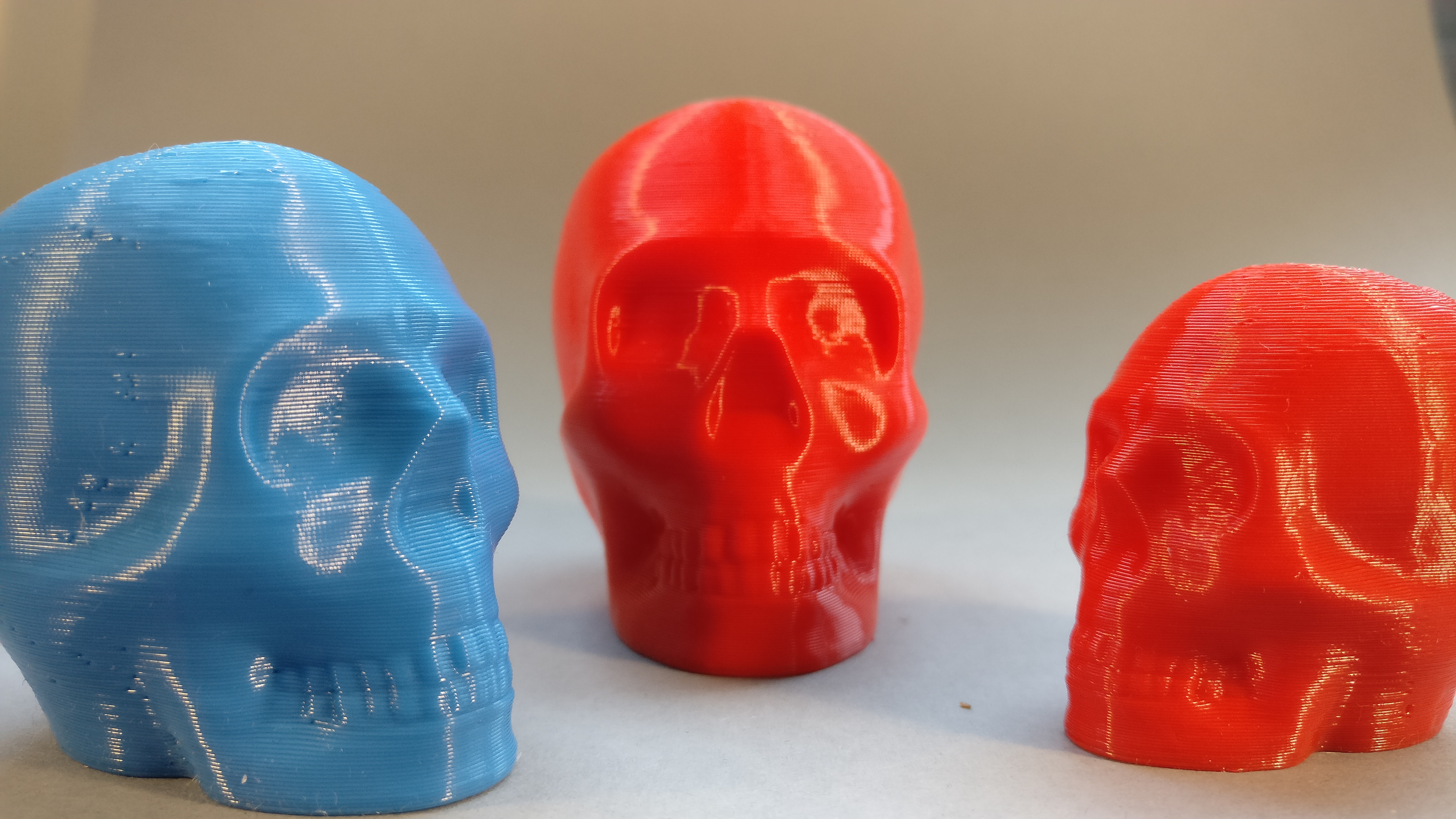 Riley the printable skull