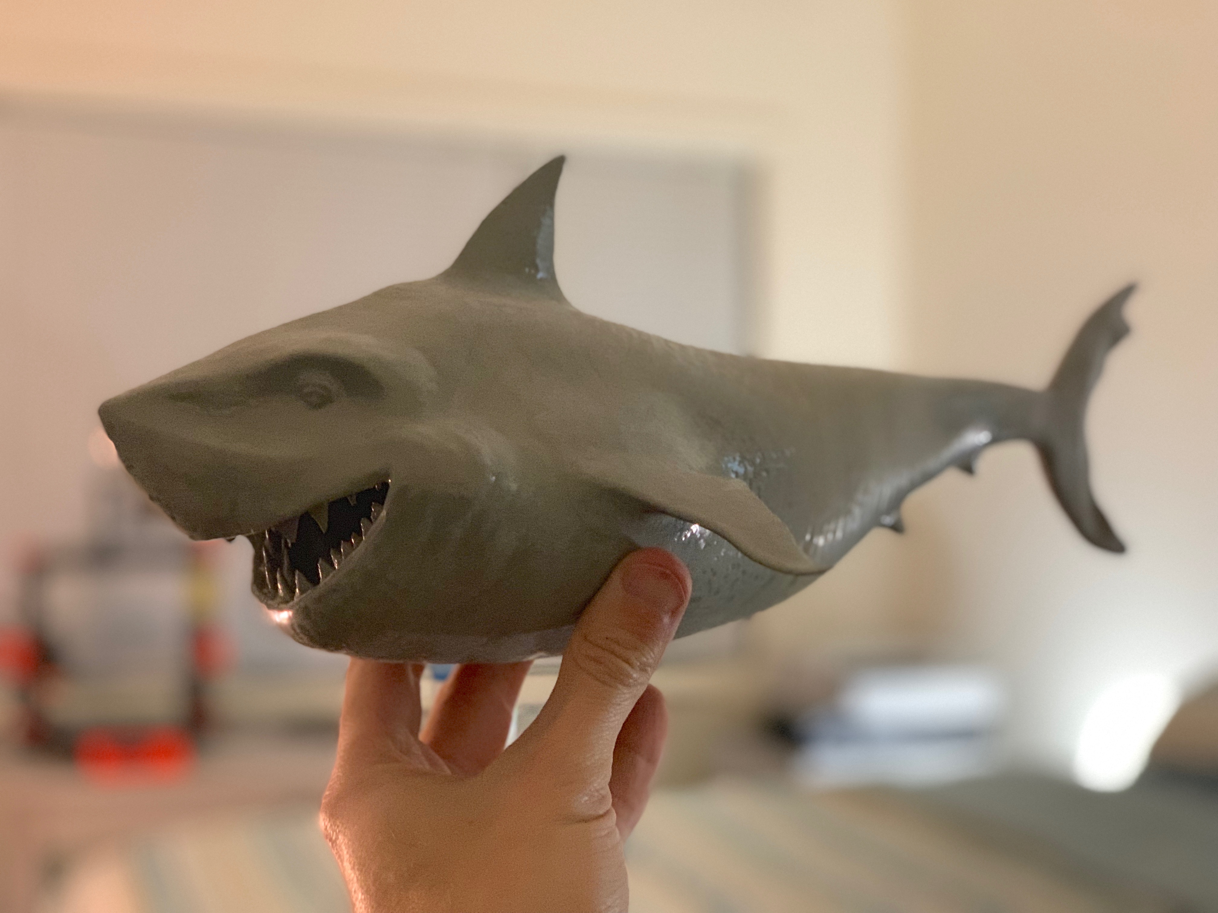 A Shark named Bruce!