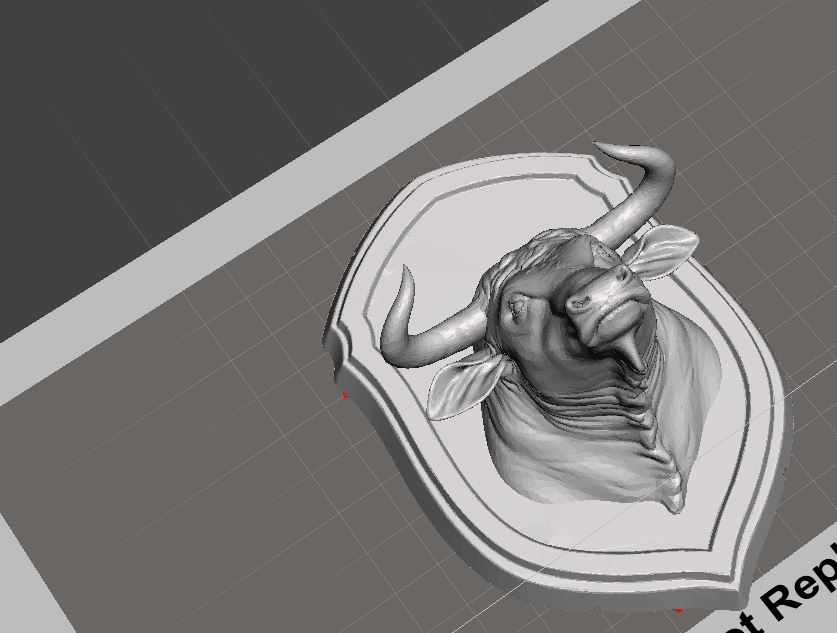 Bull head on mount