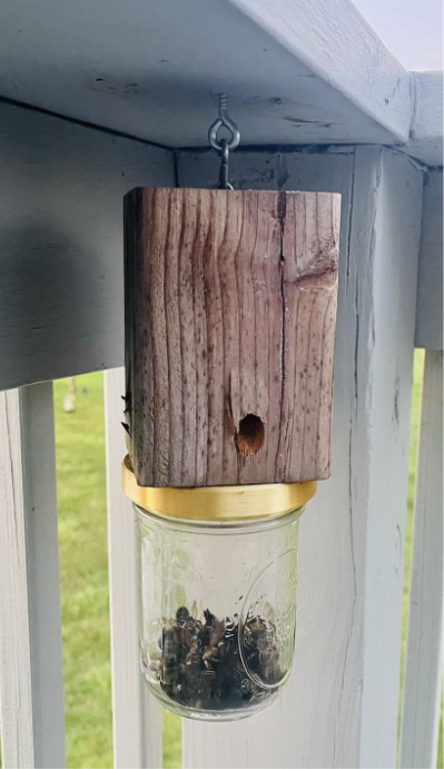 Mason Jar Carpenter Bee Trap Adapter